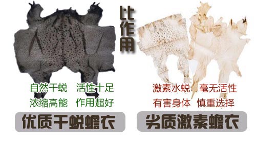 如何選擇好蟾衣？您踩坑了嗎？